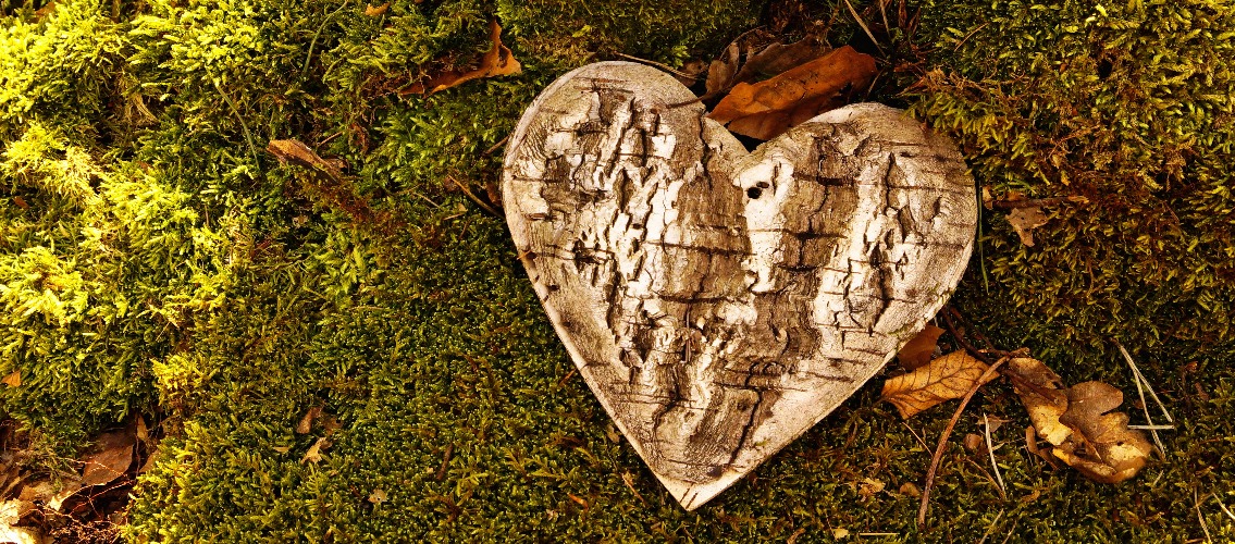 funeral Heart sympathy. Friedwald Beerdigung. wooden funeral heart shape in moss. Natural burial grave in the forest, woodland. Heart on grass. tree place of burial, cemetery, All Saints Day concepts